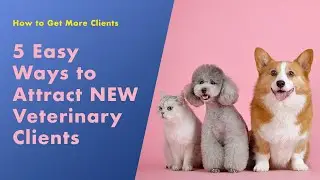 5 Easy Ways to Attract New Veterinary Clients