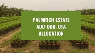 PalmRich Phase 7 Allocation! 11,000+ Landowners & Counting | Assetrise Delivers Again