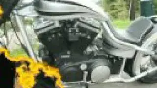 Falkens Buell Bastard