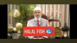 What is the reason behind halal chicken, meat, but not fish? Dr. Zakir naik