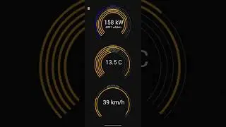 Scan My Tesla beta on Model 3 Performance. dashboard view.