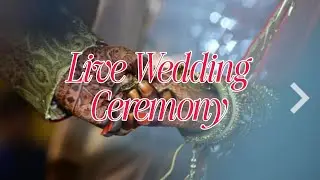 LIVE WEDDING CEREMONY OF SATBIR SINGH & MANDEEP KAUR | LIVE BY HIRAPHOTOGRAPHY M-9814701062
