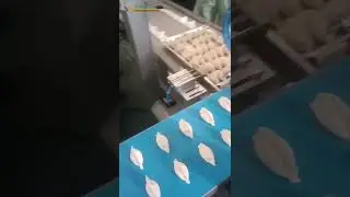 【TrayArrangingMachine】#frozenfood #dumplings #dumplingmachine #handmade #frozenfactory #dimsum #仿手工饺