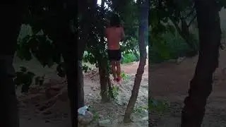 🔥 Desi Beam Workout | Balance & Strength Challenge 💪 #BeamWorkout #DesiFitness #ViralShorts#trending