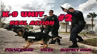 K-9 REAL ACTION 2 | Police Dog Takes Suspect Down