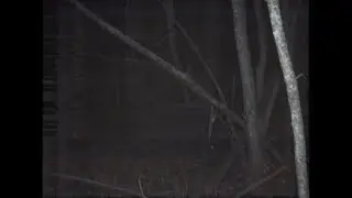 SOMEONE SENT ME THIS VIDEO TODAY: 496d6865726572696768746e6f77.mov