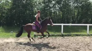 Caspian