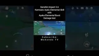 Kamisato Ayato Elemental Skill With Ayaka Elemental burst Damage test | Genshin impact 2.6