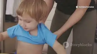 Sensory Processing 