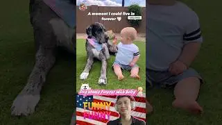 🐶❤️👶DOG WANTS FOREVER WITH BABY |#91| #shorts