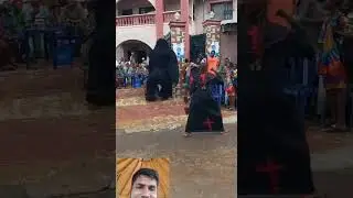 Very much african dance jadu gorilla 🦍#gorilla