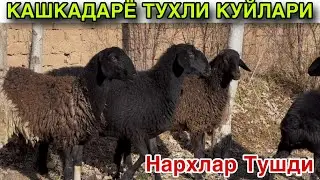 Ута Арзон Жойидан! ☎️+998 99 629 5578