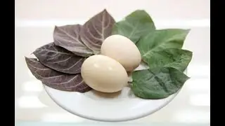 TÁC DỤNG CỦA LÁ MƠ - BENEFITS OF MUSTARD LEAVES