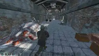 SCUM compilation #2