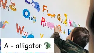 Алфавит животных от A до Z | Дошкольное образование дома | РинаДжекКоннор | Изучение алфавита