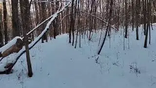 Snowy nature trails at Bilahuk Family Farm.