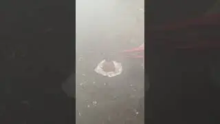 The Incredible Reaction of Aluminium on an Egg 🥚🍳