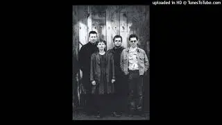 The Bats - I Go Wild