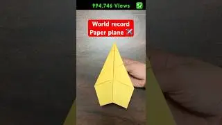 F117 Nighthawk Soars to NEW RECORD with This Paper Airplane! 217 #shorts