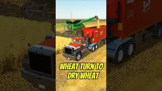 How to make dry Wheat | Wheat and Propane 🌾 #farmingsimulator25 #shorts #gaming