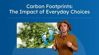 Carbon Footprints: The Impact of Everyday Choices - How Daily Choices Affect the Environment
