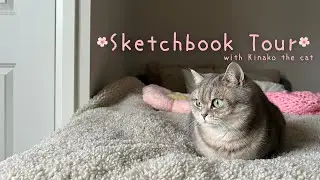 Aesthetic Sketchbook Tour🌸🐾Easy Doodles, Art Ideas & Inspiration