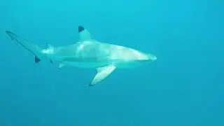 Maldives 2018 Sun Island resort and spa