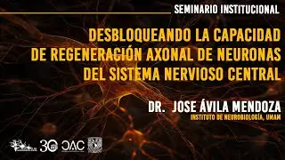 Desbloqueando la capacidad de regeneración axonal de neuronas del sistema nervioso central