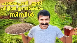 Tea Powder Preparation at home/ How to make Organic Tea Powder in your home