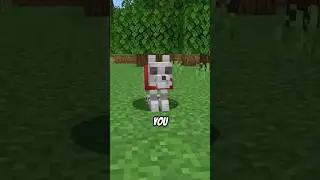 This mod lets you revive your pet