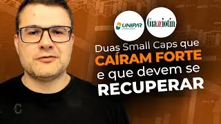 DUAS SMALL CAPS QUE CA&Iacute;RAM FORTE E QUE DEVEM SE RECUPERAR | UNIP6, CGRA4 | UNIPAR E GRAZZIOTIN