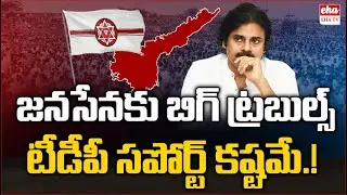 Political Clash Between TDP Janasena Leaders In Anakapalli Seat Issue | AP Politics | EHA TV
