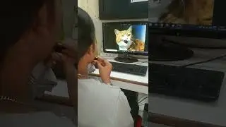 बिल्ली की आवाज