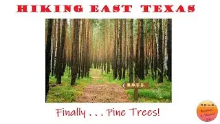 Episode 23:  Hiking East Texas