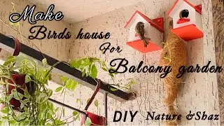 Make Birds House for Balcony Garden/DIY birds house