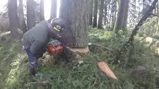 Stihl 088 42