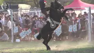 Jineteada en Basto con encimera Final Clasificatoria en La Delfina Sept. 2023 Villaguay (Entre Rios)