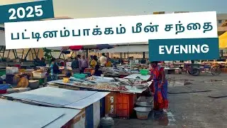 பட்டினம்பாக்கம் மீன் சந்தை | CHENNAI MARINA BEACH FRESH FISH MARKET | 24hours LIVE FISH MARKET