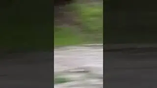 Yozgat Akdağmadeni  yağmurdan sonra  sel
