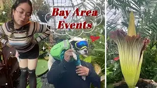 Exploring the Bay Area || SF & Pacifica || World Dog Surfing Championships, Corpse Flower || EN/SP