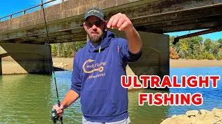 Double TROUT MAGNET Ultralight Fishing