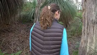 Forest bathing in Deep Creek Conservation Park sneak peek
