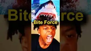 Strongest Bite Force in  Sea Animals!