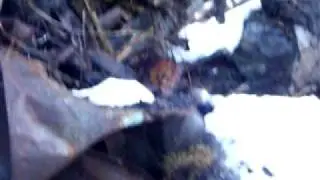 NIGHTMARE IN COFFMAN COVE ALASKA  