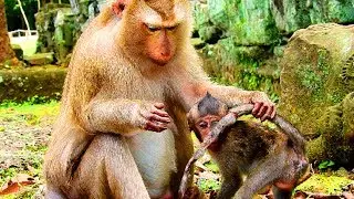 Ashley million pitiful on lori until clean & cure carefully , Lori feeling thankful so much