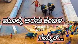 ಮೂಲ್ಕಿ ಸೀಮೆದ ಅರಸು ಕಂಬಳ 2025 #mulki #kambala #mangalore 