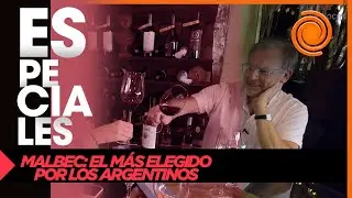 Malbec: conoc&eacute; todo sobre esta cepa de la mano de Lalo Freyre, experto en vinos