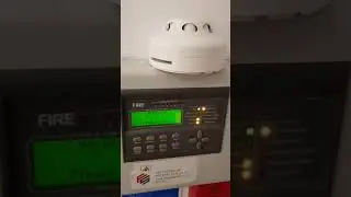 Add Zerio / EDA smoke / Sounder / heat detector in Zerio plus panel