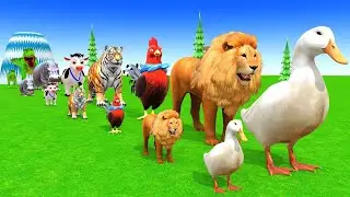 Long Slide Game with Cow Elephant Gorilla Hippopotamus Tiger 3d Animal Game Funny 3d Animals