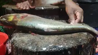 Amazing Big Silver Fish Cutting Live in Fish Market Pakistan | Fish Cutting Skills #fishcutting